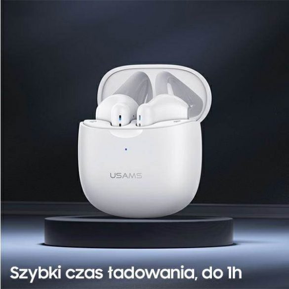 USAMS Słuchawki Bluetooth 5.0 TWS IA series bezprzewodowe czarny/negru BHUIA01 (US-IA04)