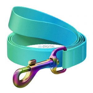 WAUDOG gradient nylon lesă câine, 20 mm lățime, 122 cm lungime, albastru