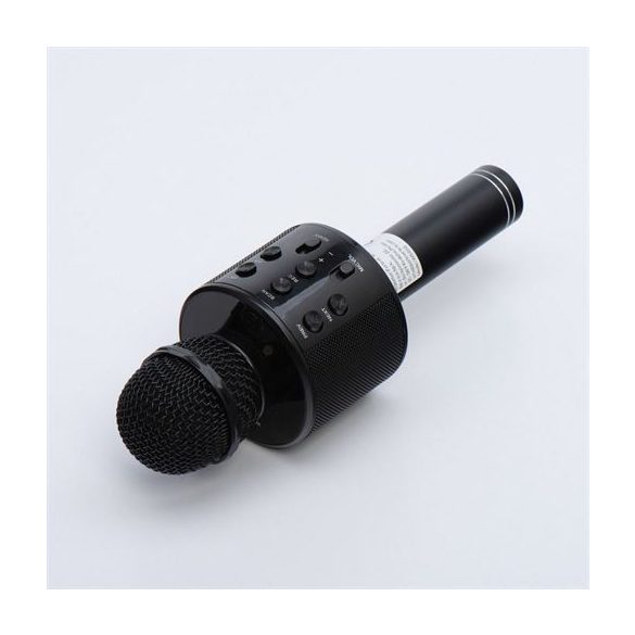 Microfon multimedia karaoke CR58 negru