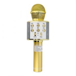 Microfon multimedia karaoke CR58 gold