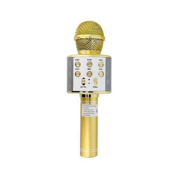 Microfon multimedia karaoke CR58 gold