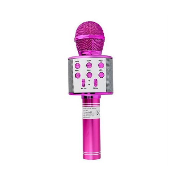 Microfon multimedia karaoke CR58 roz