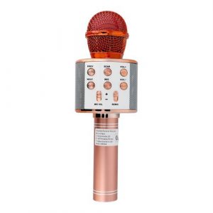 Microfon multimedia karaoke CR58 aur roz