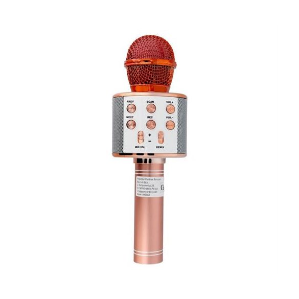 Microfon multimedia karaoke CR58 aur roz