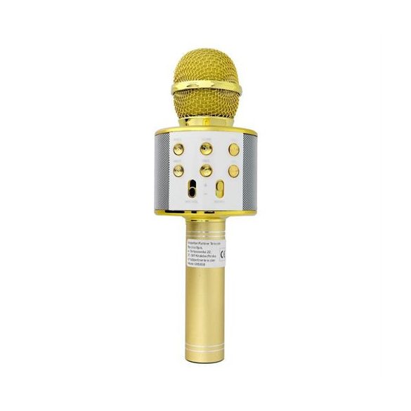 Microfon multimedia karaoke CR58S HQ gold