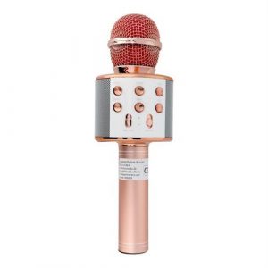 Microfon multimedia karaoke CR58S HQ aur roz