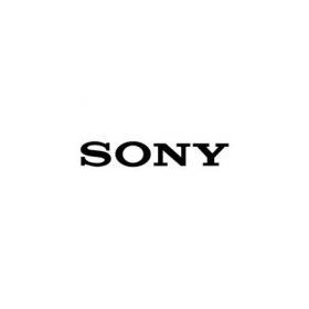 Acumulatoare Sony