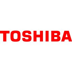 Acumulatoare Toshiba