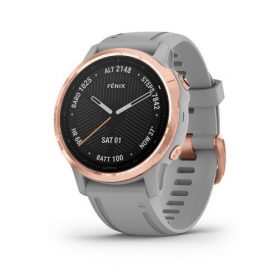 Folii Garmin Fenix 6S Sapphire