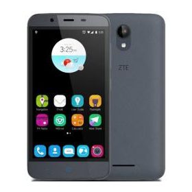 Huse ZTE Blade A310