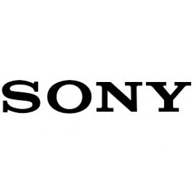 Curea pentru Sony Watch